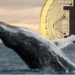 bitcoin balinaları