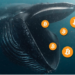 Üçüncü En Büyük Bitcoin Balinası Bir Haftada Milyon Dolarlık Bitcoin (BTC) Aldı!