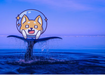 Shiba Inu Balinası, Şimdi Bu İki Altcoinden Satın Aldı!