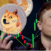 Elon Musk Bu İki Şeyin Dogecoin’i Daha Faydalı Yapacağına İnanıyor!