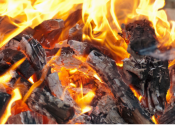 Shiba Inu (SHIB), Yakımlara Ara Vermeden Devam Ediyor!