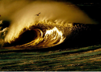 Waves (WAVES), FUD İddialarıyla Karşı Karşıya Kaldı! Fiyat Düşüyor! 