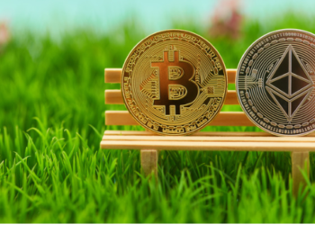 Düşüşe Rağmen Daha Fazla Bitcoin ve Ethereum Yatırımcısı Kâr Ediyor!