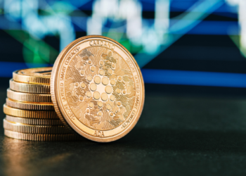 cardano ada kripto altcoin maliyet