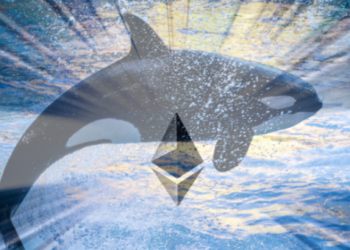 metaverse ethereum balina