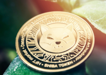 shiba SHIB meme token