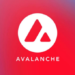 avalanche avax kripto altcoin