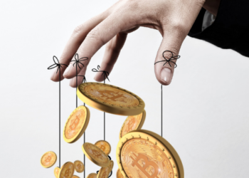 bitcoin btc kripto spekülasyon