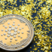 cardano ada