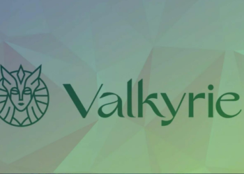 Valkyrie yatırım kripto altcoin Zillica ATOM BNB AVAX