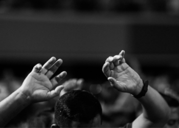 ripple xrp kripto altcoin