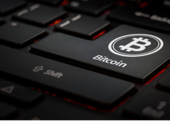 Binlerce BTC Borsalardan Taşınıyor! Veriler, Boğa Koşusu Gösteriyor!