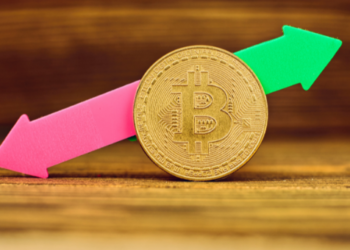 Analiste Göre Bitcoin ile Birlikte Bu Altcoinler Uçuşa Geçecek! 