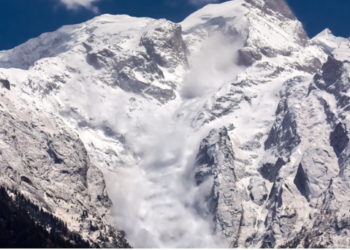 Ava Labs 350 Milyon Dolar Fon Topluyor, Peki Altcoin Nasıl Etkilenecek? 