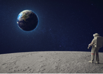 Altcoin Sherpa Açıkladı; Bu Üç Altcoin Rekora Koşacak!