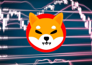 Tüm Tweetlerini Silen Shiba Inu Kurucusundan Açıklama!