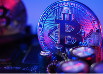 Kârdaki Bitcoin Adresleri Çakıldı! Zarar Edenler Rekor Kırıyor!