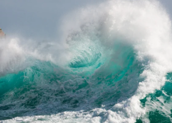 Bu Haberle Waves (WAVES) Yükselişe Geçti!