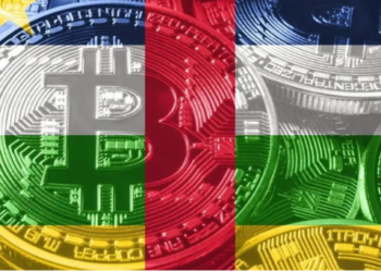 IMF, Orta Afrika Cumhuriyeti’ne Bitcoin Uyarısı Yaptı!
