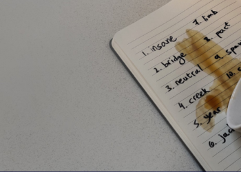 tohum cümlesini seed phrase