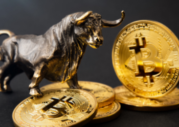 bitcoin btc long short