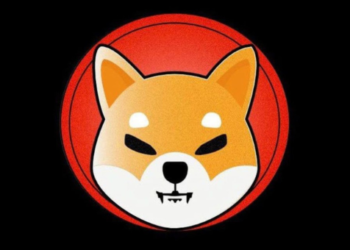 Shiba SHIB yanma Shibburn