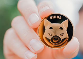 shiba inu SHIB