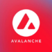 avax avalanche ust kripto altcoin
