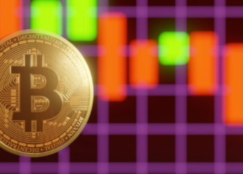 bitcoin hakimiyeti BTCD