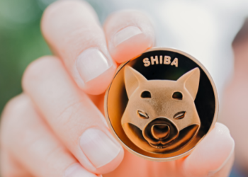 Shiba SHIB meme Token