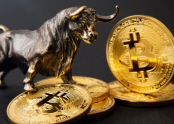 btc bitcoin boğa zamanı