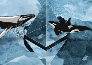 ETH balina SHIB Shiba Inu