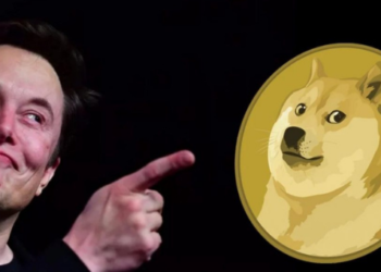 Dogecoin DOGE kripto memecoin Elon Musk