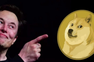 Dogecoin DOGE kripto memecoin Elon Musk