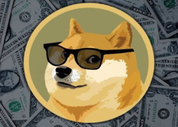 Dogecoin (DOGE) Milyonerinin Sayısı Düşüşte! 