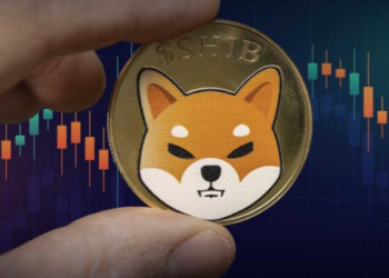 Shiba Inu (SHIB) Gelişmeleri; Yakım, Shibarium ve Daha Fazlası..