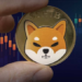 Shiba Inu (SHIB) Gelişmeleri; Yakım, Shibarium ve Daha Fazlası..