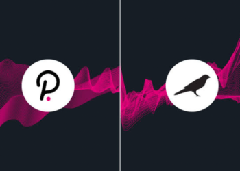 Polkadot ve Kusama Ekosisteminin Entegrasyonu Gerçekleşiyor!