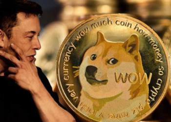 Elon Musk, Dogecoin Yüzünden Davalık Oldu!