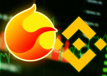 Binance US, LUNA ve UST Yüzünden Davalık Oldu!