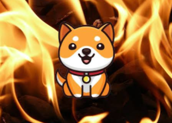 Son 24 Saatte 14,2 Katrilyon BabyDoge Yakıldı! Arzın Yüzde 46,68’i Yok Edildi!