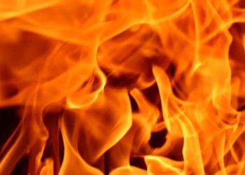 Mayıs Ayında Ne Kadar Shiba Inu (SHIB) Yakıldığı Açıklandı!