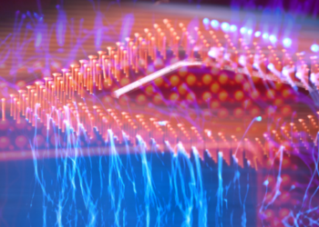 kripto Bitcoin madenciliği newyork