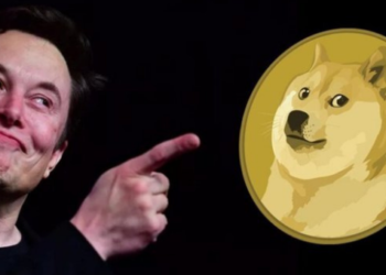 Elon Musk Dogecoin DOGE açıklaması