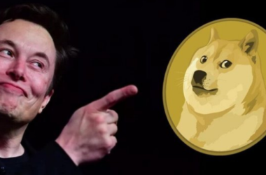 Elon Musk Dogecoin DOGE açıklaması