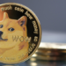 Senato Adayı, Dogecoin’i (DOGE) Kaliforniya’da Yasal Hale Getirmek İstiyor! 