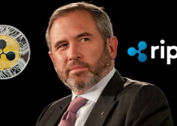 Ripple CEO’su: “SEC Davasını Kaybedersek, Amerika’yı Terkedeceğiz.”