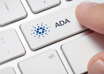 Cardano (ADA) Kimlik Avında Dünya Çapında İlk Üçte!