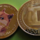 Dogecoin DOGE Robinhood