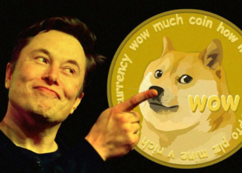 Dogecoin DOGE